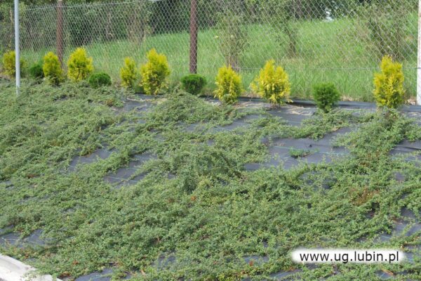 Wizytówka wsi Zimna Woda