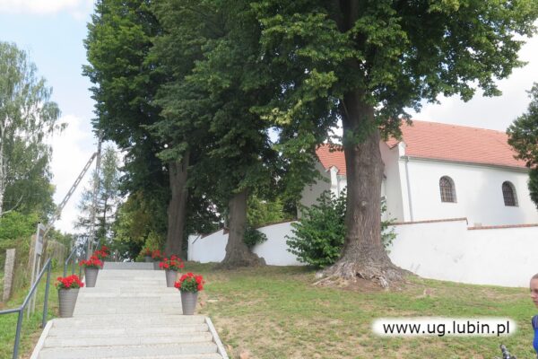 Wizytówka wsi Zimna Woda