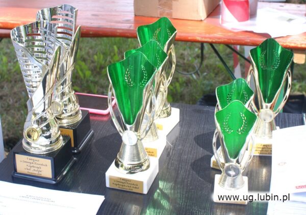 Gminne Zawody Kajakowe w Raszowej Małej