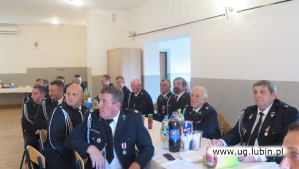 Zebranie sprawozdawczo-wyborcze OSP Niemstów