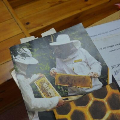 "Gawędy o życiu pszczół" w Zimnej Wodzie