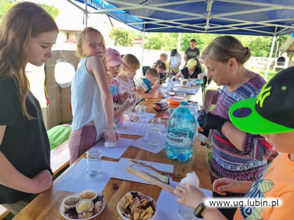 Festyny rodzinne i  zabawy okazji Dnia Dziecka  