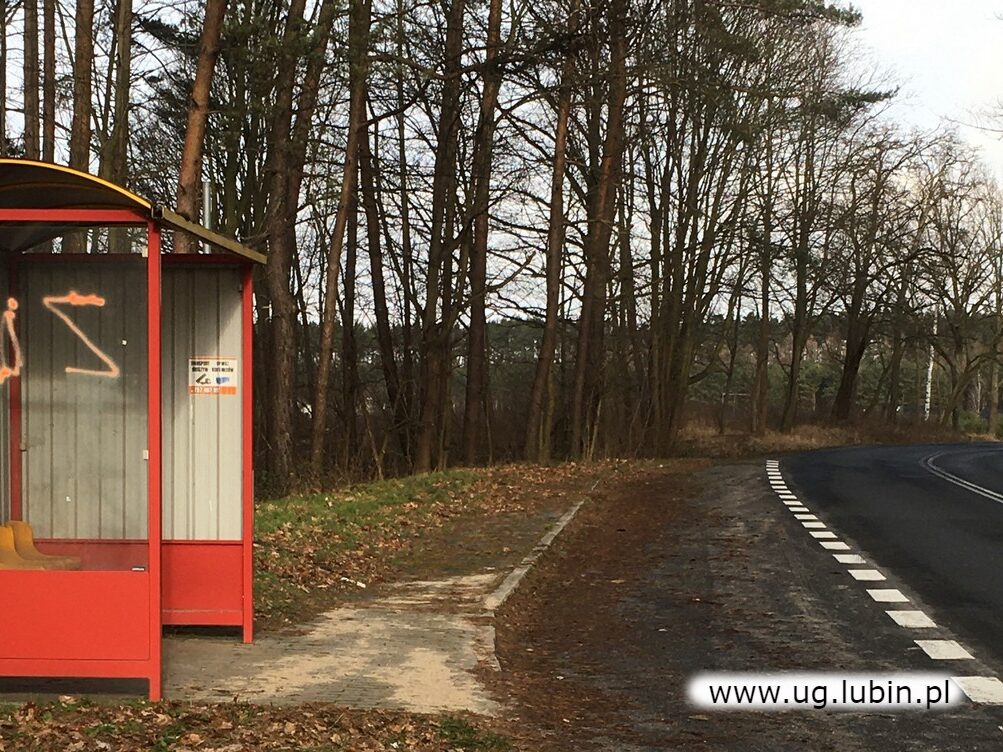 oczekiwane uruchomienie przystanków autobusowych linii 113, 123 i 133 dla mieszkańców przysiółka Zalesie