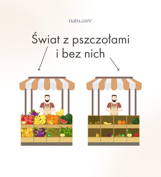 infografika-swiat-z-pszczolami