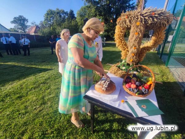 Dożynki w Czerńcu