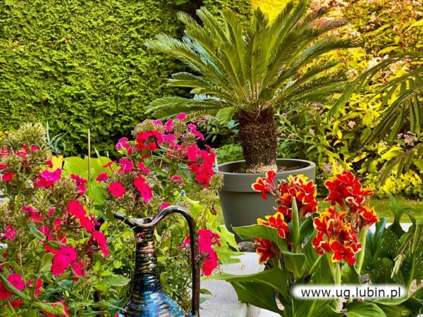 Otwarte  Ogrody  2024 