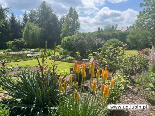 Otwarte  Ogrody  2024 