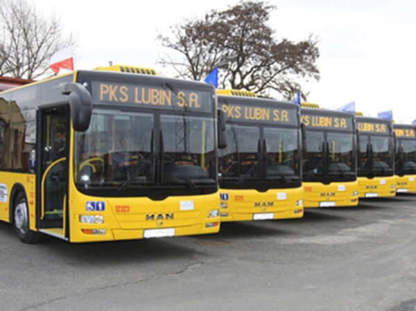 Autobusy w gminie Lubin