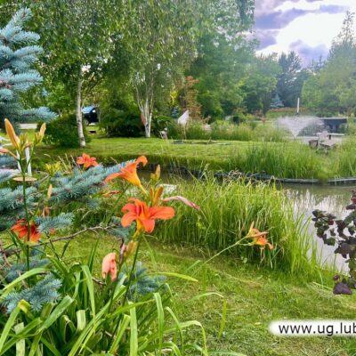 Ogród w Bukownej (gmina Lubin)