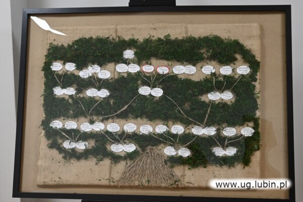 Podsumowanie konkursu „Moje korzenie” 