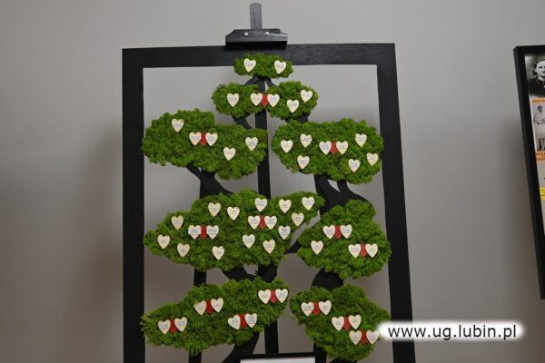 Podsumowanie konkursu „Moje korzenie” 