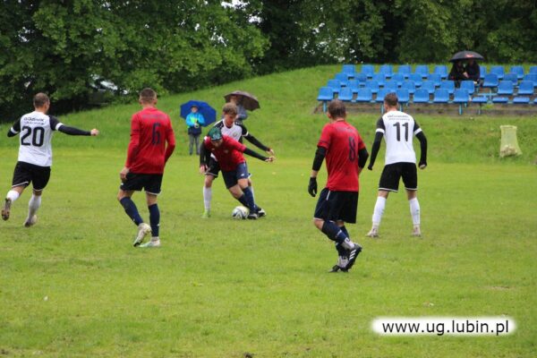 Platan poległ w deszczowym  pojedynku