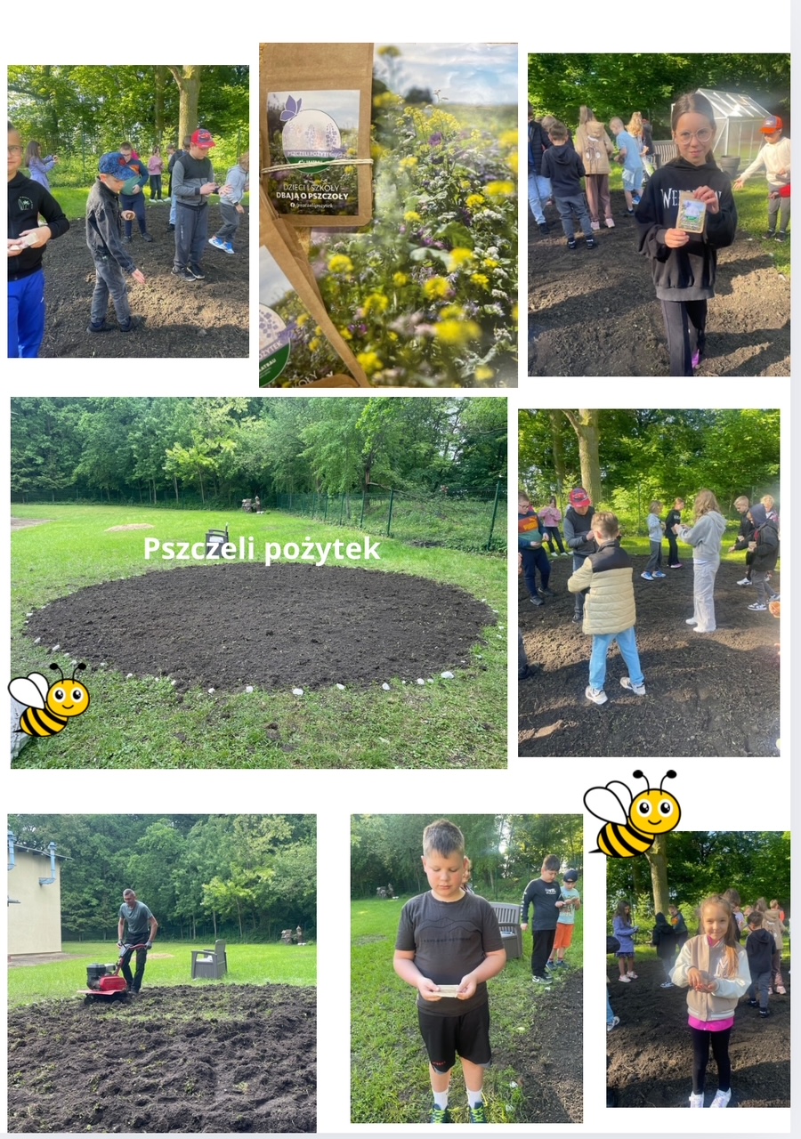 Dzieci z Niemstowa posiały łąkę dla pszczół.