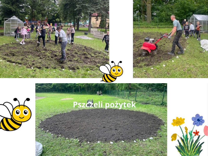 Dzieci z Niemstowa posiały łąkę dla pszczół