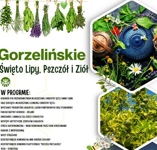 Gorzelińskie Święto Lipy, Pszczół i Ziół