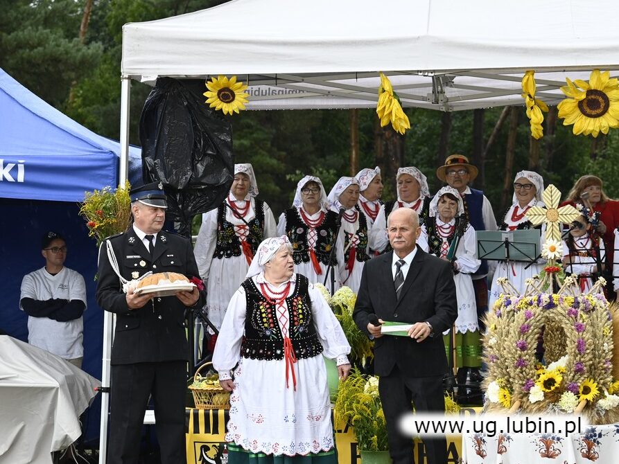 Dożynki