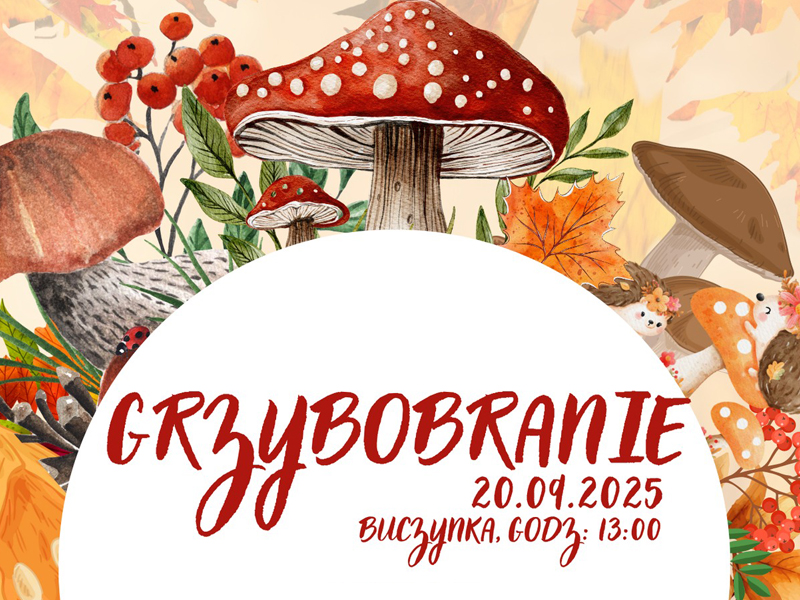 Grzybobranie 2025 w Buczynce