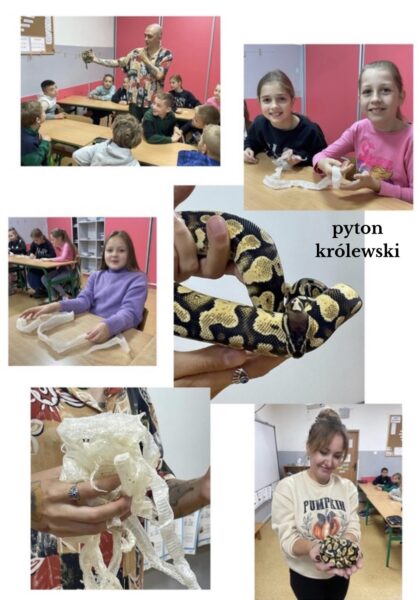kolaż zdjęć z wężem
