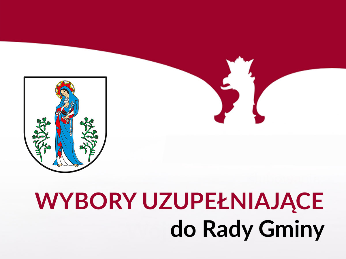 Wybory uzupełniające do rady gminy Lubin