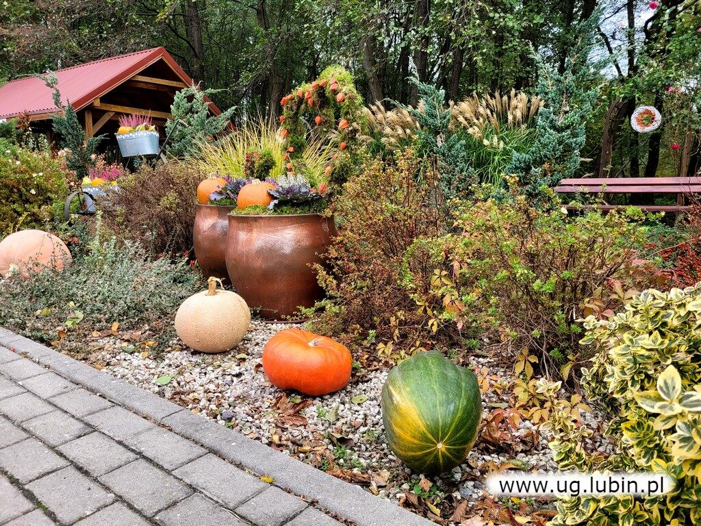 Zdjęcia z konkursu ,,wizytówka wsi".