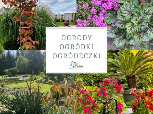 Plakat otwarte ogrody