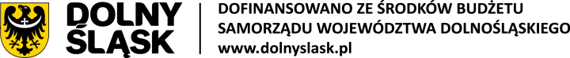 Logo dofinansowania