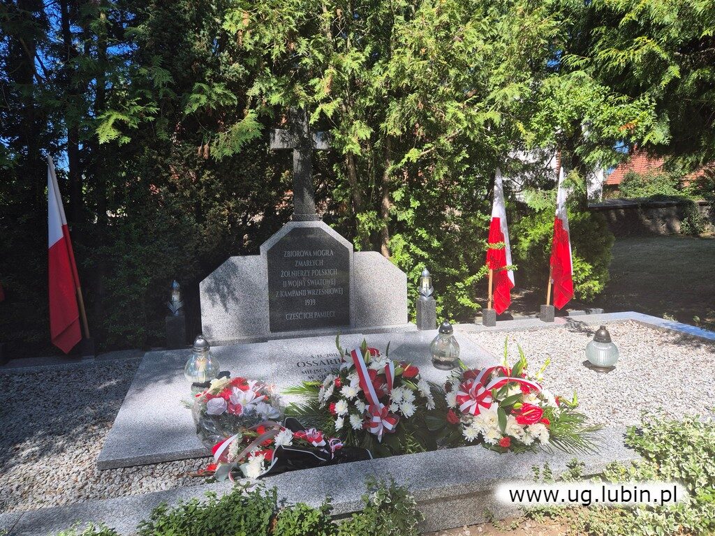 obchody 15 sierpnia