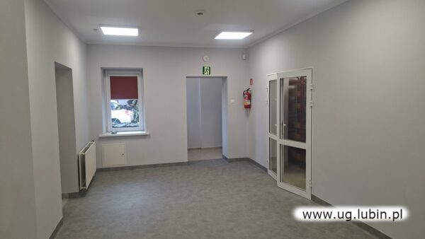 remont biblioteki