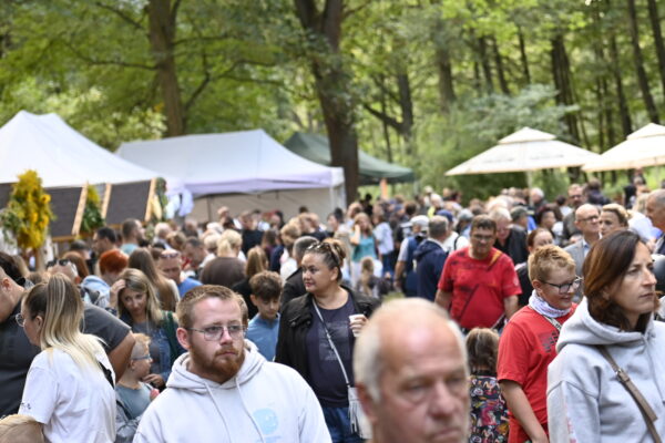 Festiwal kapusty i pieroga
