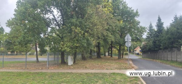 OSP Gorzyca - teren inwestycji 